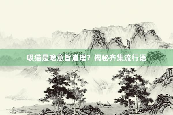 吸猫是啥意旨道理？揭秘齐集流行语