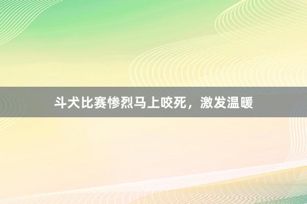 斗犬比赛惨烈马上咬死，激发温暖